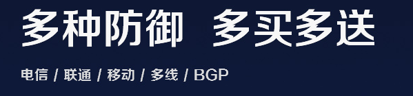 高防服務(wù)器租用一年的價格是多少？