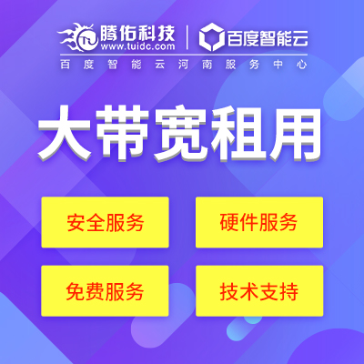 企業(yè)租用大帶寬服務器必須知道哪些