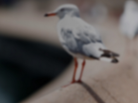 圖片二維碼識別SDK C#，百度圖像識別api接口